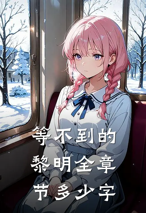 等不到的黎明全章节多少字