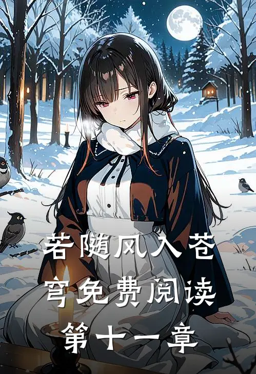 若随风入苍穹免费阅读第十一章