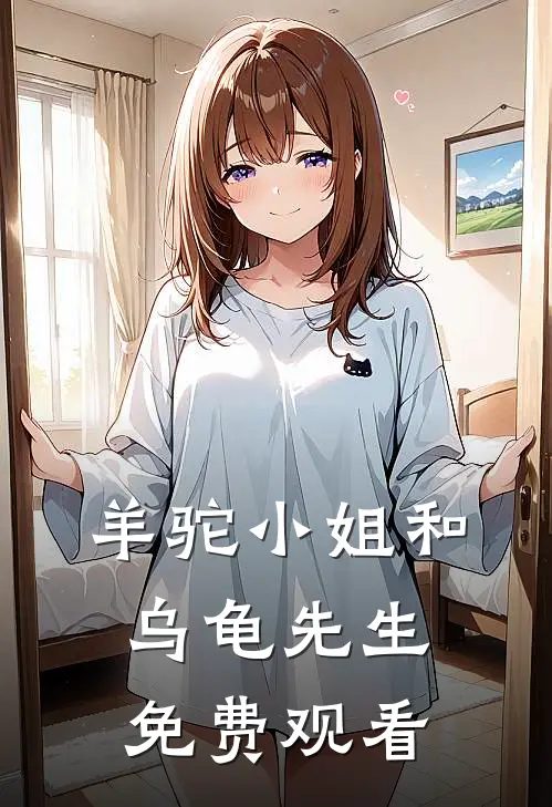 羊驼小姐和乌龟先生免费观看