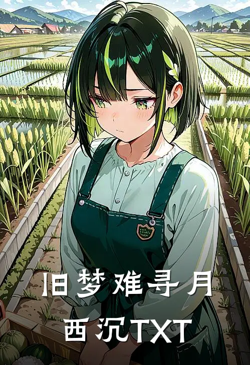 旧梦难寻月西沉TXT