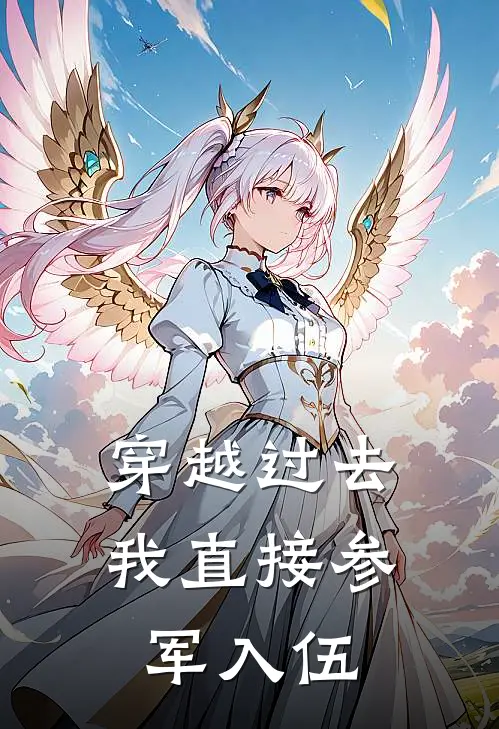 穿越过去：我直接参军入伍