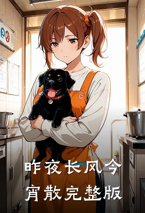 昨夜长风今宵散完整版