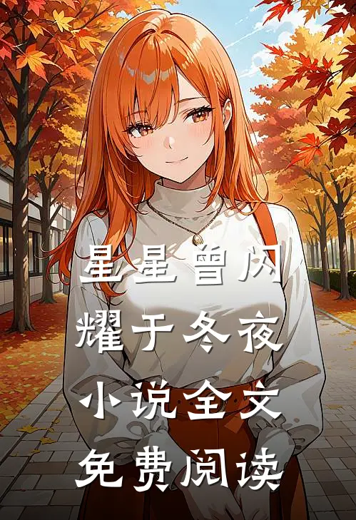 星星曾闪耀于冬夜小说全文免费阅读