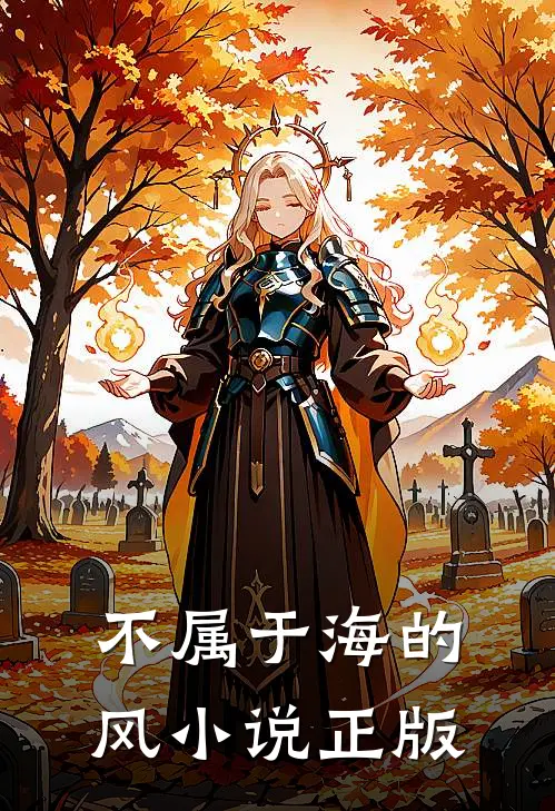 不属于海的风小说正版