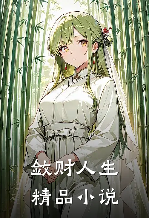 敛财人生精品小说