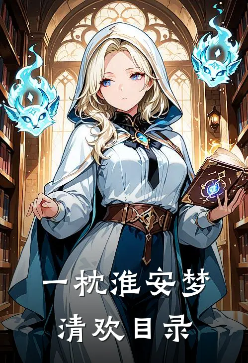 一枕淮安梦清欢目录