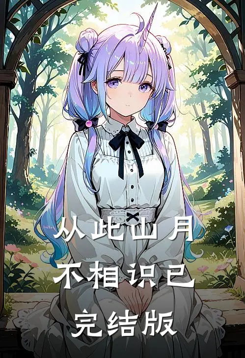 从此山月不相识已完结版