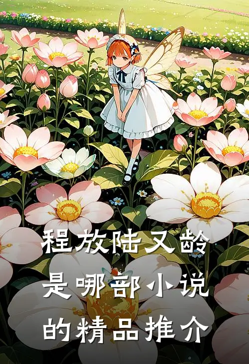 程放陆又龄是哪部小说的精品推介