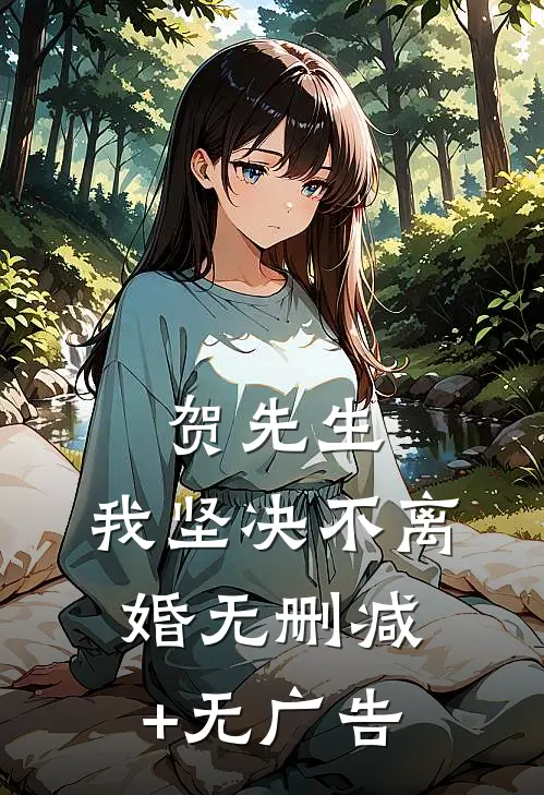 贺先生，我坚决不离婚无删减+无广告