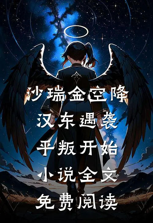 沙瑞金空降汉东遇袭，平叛开始小说全文免费阅读