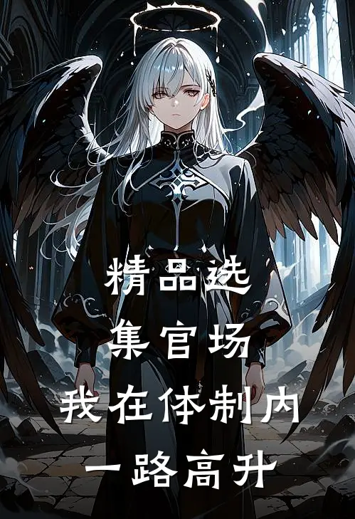 精品选集官场：我在体制内一路高升