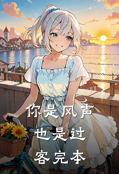 你是风声，也是过客完本