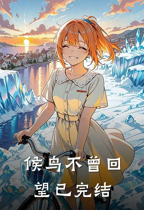 候鸟不曾回望已完结