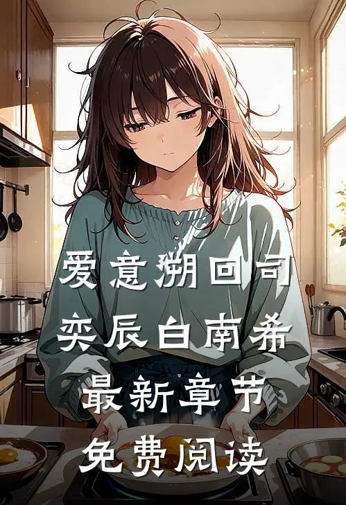 爱意溯回司奕辰白南希最新章节免费阅读