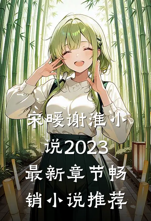 宋暖谢淮小说2023最新章节畅销小说推荐