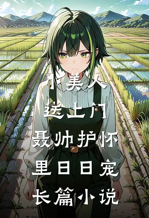小美人送上门，聂帅护怀里日日宠长篇小说