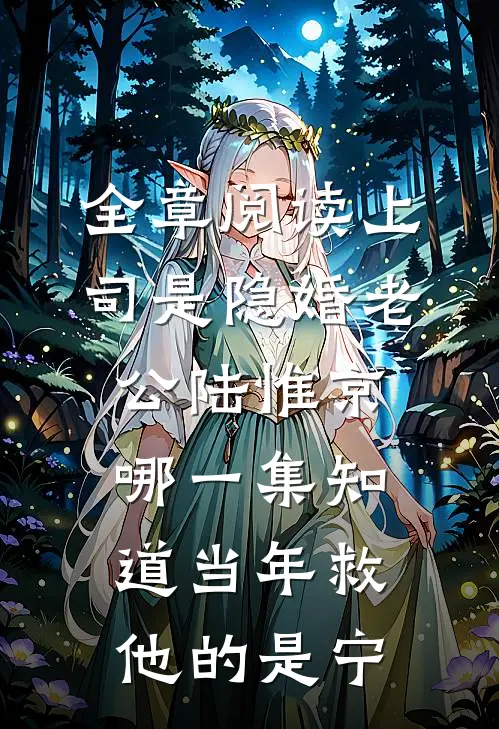 全章阅读上司是隐婚老公 陆惟京哪一集知道当年救他的是宁