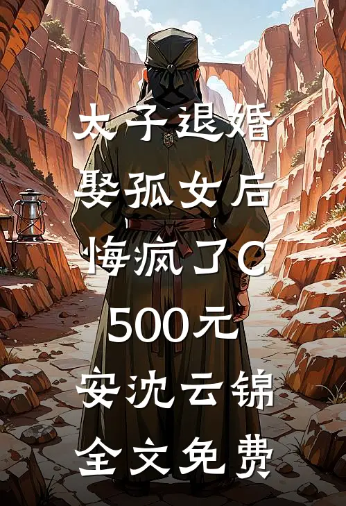 太子退婚娶孤女后，悔疯了C500元安沈云锦全文免费