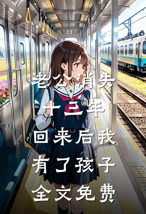 老公消失十三年，回来后我有了孩子全文免费