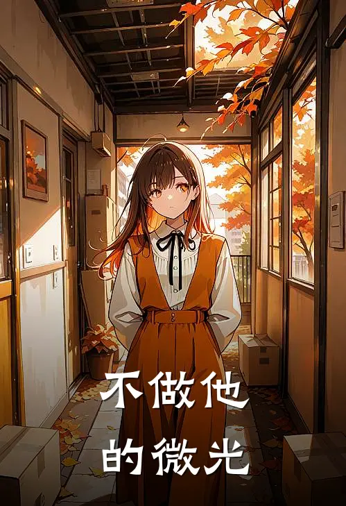 不做他的微光
