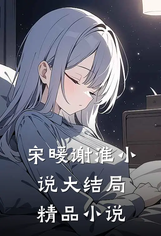宋暖谢淮小说大结局精品小说