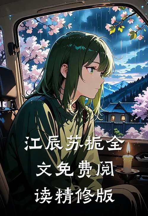 江辰苏栀全文免费阅读精修版