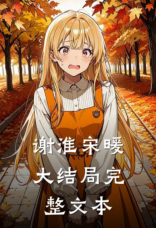 谢淮宋暖大结局完整文本