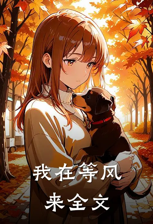 我在等风来全文