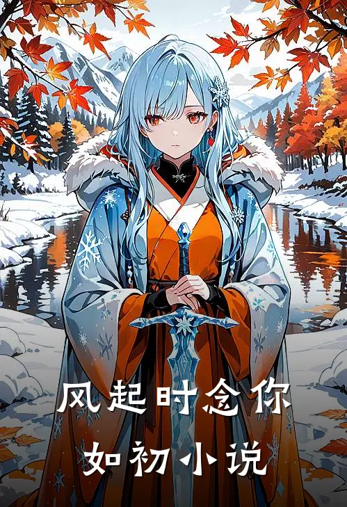 风起时念你如初小说
