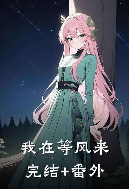 我在等风来完结+番外
