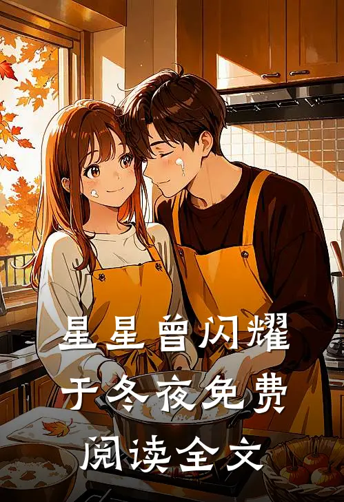 星星曾闪耀于冬夜免费阅读全文