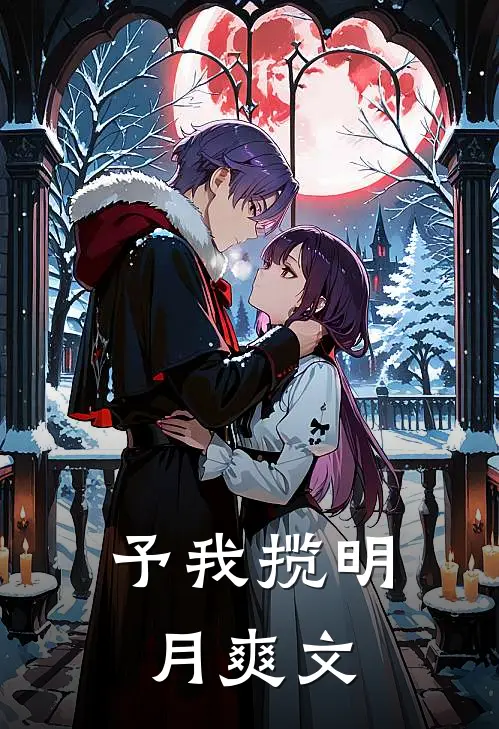 予我揽明月爽文