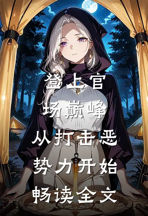 登上官场巅峰，从打击恶势力开始畅读全文