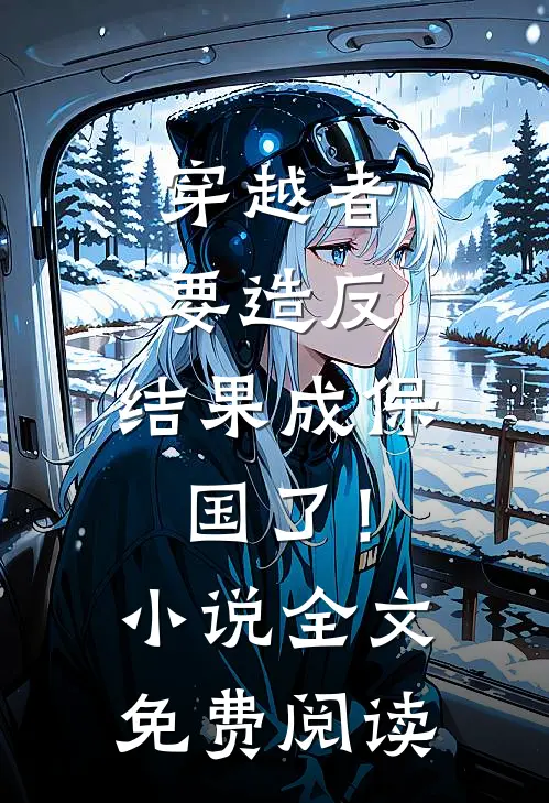 穿越者要造反，结果成保国了！小说全文免费阅读
