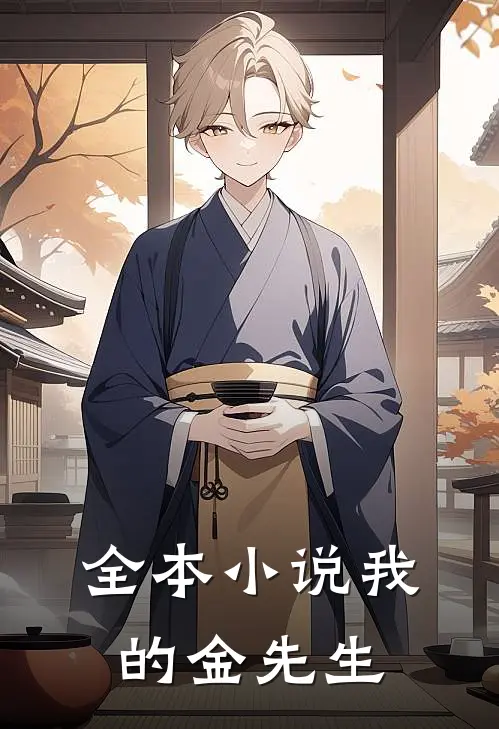 全本小说我的金先生