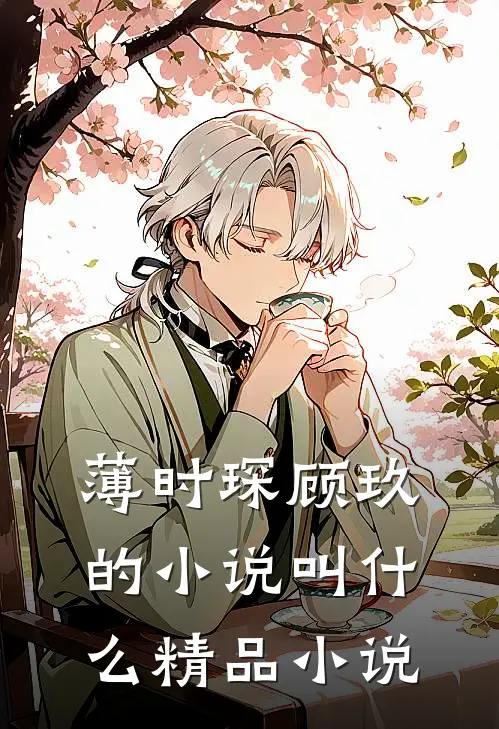 薄时琛顾玖的小说叫什么精品小说