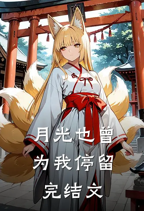 月光也曾为我停留完结文