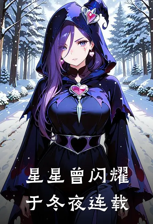 星星曾闪耀于冬夜连载