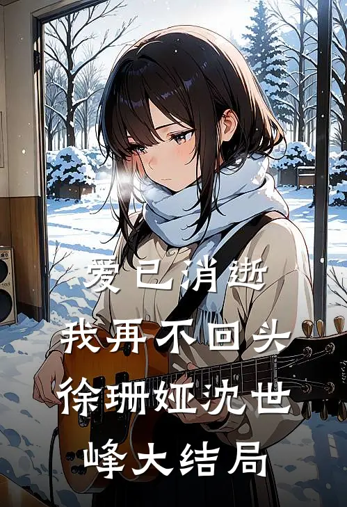 爱已消逝，我再不回头徐珊娅沈世峰大结局