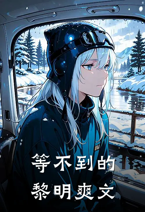 等不到的黎明爽文