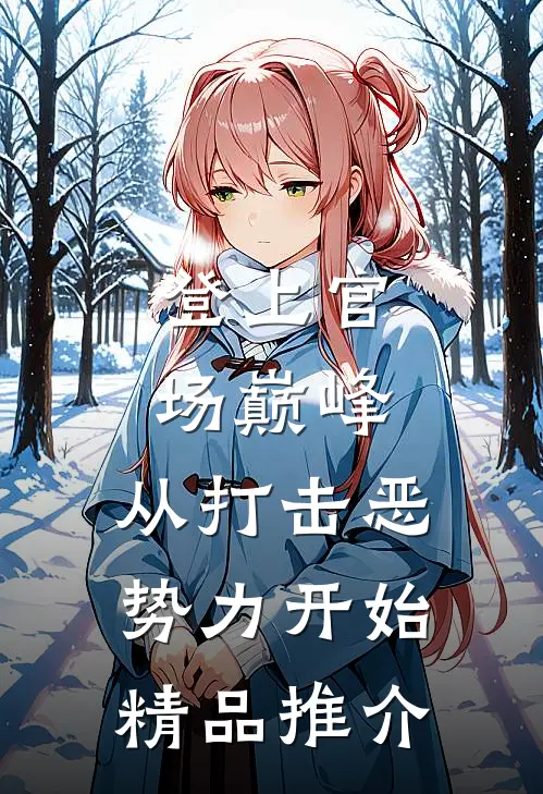 登上官场巅峰，从打击恶势力开始精品推介