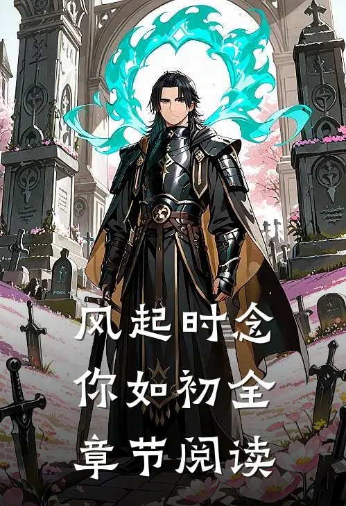风起时念你如初全章节阅读