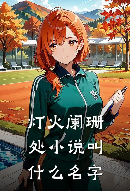 灯火阑珊处小说叫什么名字