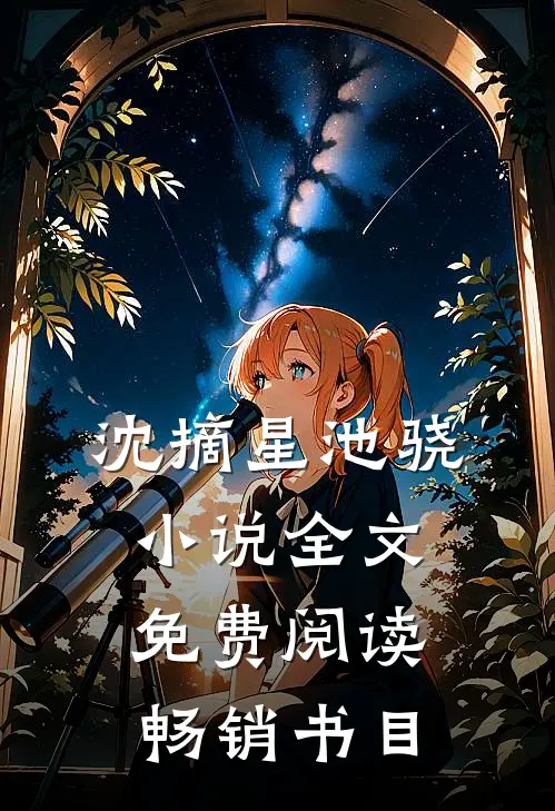 沈摘星池骁小说全文免费阅读畅销书目
