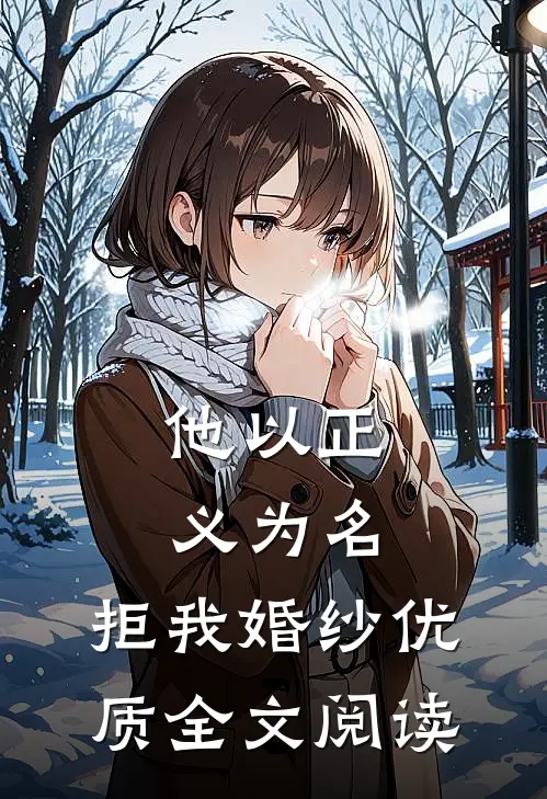 他以正义为名，拒我婚纱优质全文阅读
