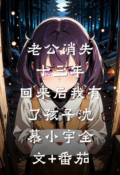 老公消失十三年，回来后我有了孩子沈慕小宇全文+番茄