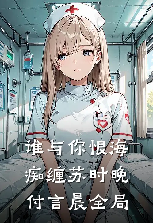 谁与你恨海痴缠苏时晚付言晨全局