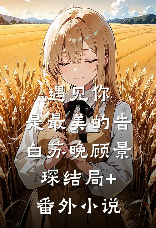 遇见你，是最美的告白苏晚顾景琛结局+番外小说