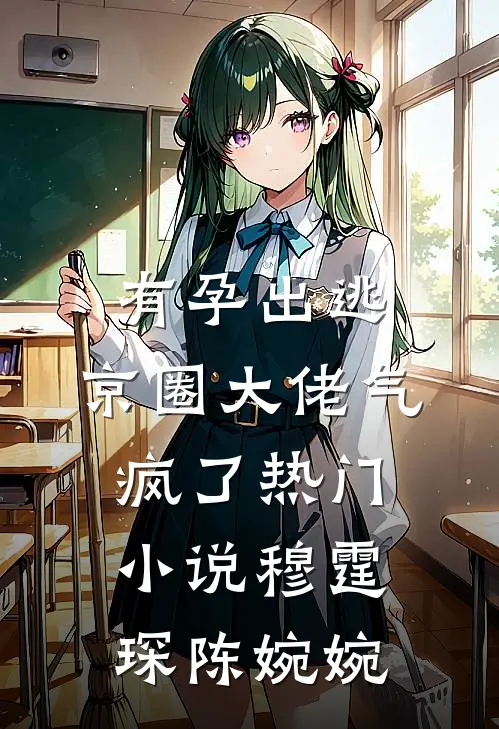 有孕出逃，京圈大佬气疯了热门小说穆霆琛陈婉婉