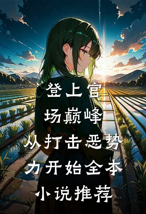登上官场巅峰，从打击恶势力开始全本小说推荐